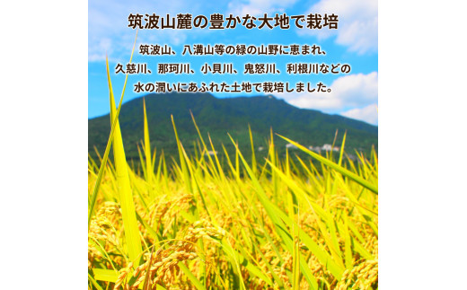 令和5年産 新米 茨城県産 ミルキークイーン 精米・5kg（5kg×1袋）茨城