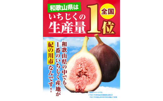 和歌山県紀の川市のふるさと納税 お試し小容量 完熟いちじく 約600g (300g × 2パック) お試し パック いちじく イチジク 無花果 紀の里農業協同組合《9月上旬-11月上旬頃出荷》 和歌山県 紀の川市 青果物 果物 くだもの フルーツ スイーツ