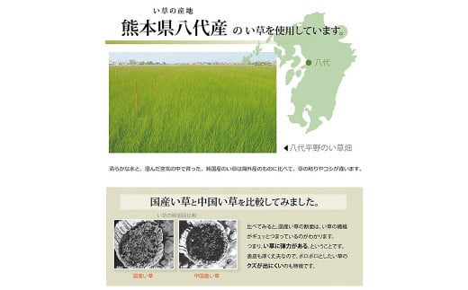 い草上敷き【不知火】江戸間6畳