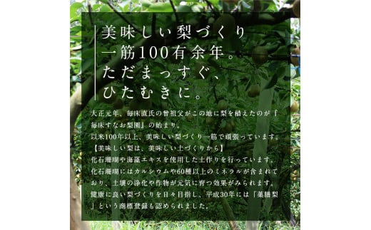 熊本県球磨村のふるさと納税 FKP9-407 【先行予約】≪わけあり≫マンゴー梨 4kg 果物 フルーツ なし ナシ 毎床すなお梨園 熊本県 球磨村 九州