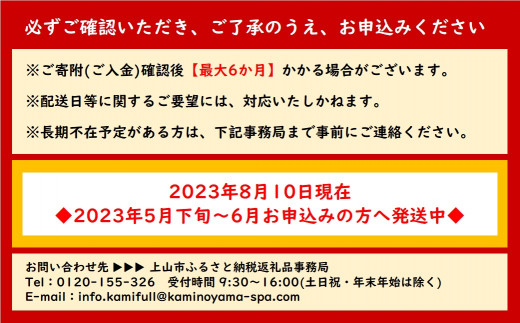 最大６か月待ち】かみのやまシュー ６個 0048-2209 - 山形県上山市