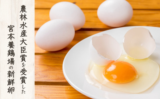 卵は、南房総の自然豊かで温暖な気候の中で育った、宮本養鶏場の新鮮卵をふんだんに使用。