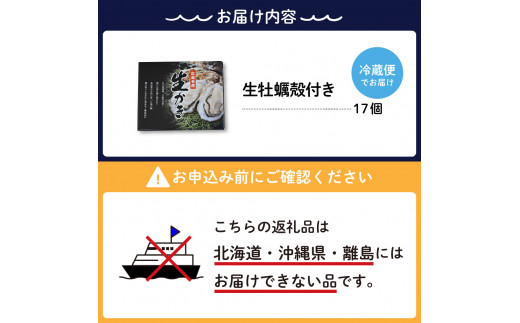 先行受付】ナバラ水産 生牡蠣 殻付き 17個 - 広島県呉市｜ふるさと