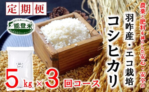A198] 【定期便】《減農薬・減肥料》エコ栽培こしひかり「のと米