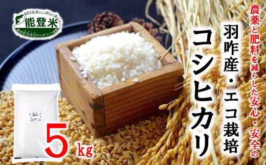 [A195] 《減農薬・減肥料》エコ栽培こしひかり「のと米プレミアム」精米5kg