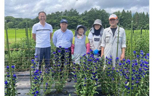 農家と地域の振興機関により、西和賀ならではのオリジナル品種が開発されてきました。