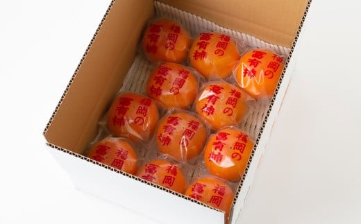 中国産3L~ L大【天然 つぼみ 松茸 1kg】 良品本数5～20本