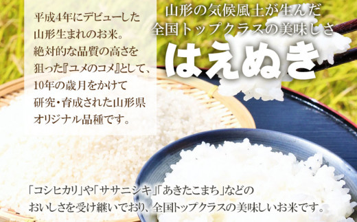 山形県産 はえぬき そのまま炊ける 無洗米10kg（5kg×2袋） - 山形県