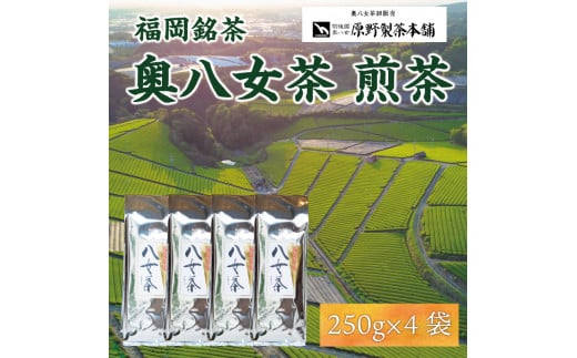 八女茶 1kg(250g×4袋) [a0346] 有限会社原野製茶本舗 【返礼品】添田町 ふるさと納税 990581 - 福岡県添田町