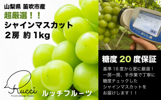 20. シャインマスカット【箱抜き4kg 】 | www.phukettopteam.com