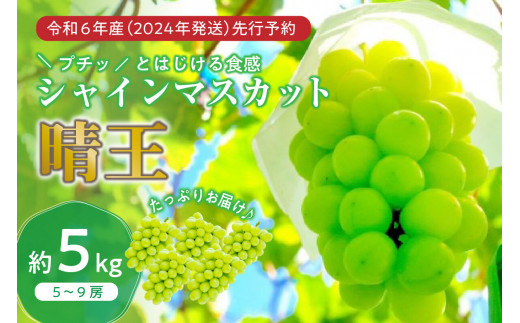 長野県産　特大サイズ　お徳用シャインマスカット　9房　5kg 秀品！