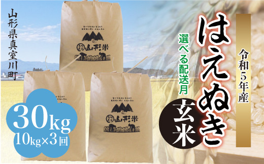 配送時期が選べて便利な定期便＞ 令和5年産 真室川町厳選 はえぬき