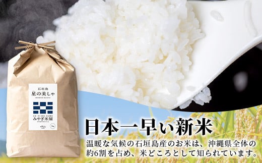 日本一早い石垣島の新米（5kg）
