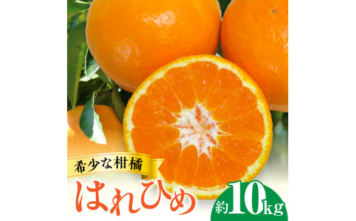 M02-0154_希少な柑橘「はれひめ」約10kg - 香川県三豊市｜ふるさと ...