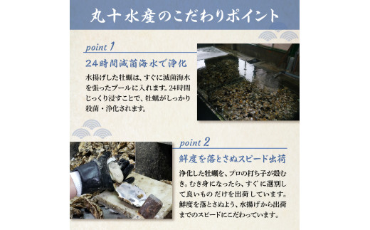 先行受付】丸十水産 広島ブランド牡蠣 殻付き かき小町 約3kg (15～21