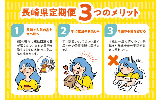 カステラ 長崎  定期便 手焼き 個包装 和三盆 長崎カステリーヌ カステラアイス 幸せのカステラ 名物 後から あとから