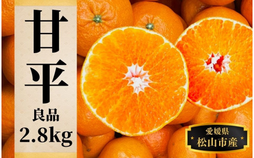 【甘平】約2.8ｋｇ（良品） ＜2月頃発送 ＞ みかん ブランド 柑橘 フルーツ 果物 愛媛 松山 1044715 - 愛媛県松山市