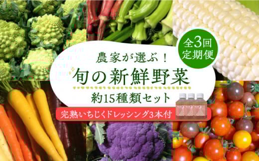 【全3回定期便】農家が選ぶ!旬の新鮮野菜セット約15種類と農家が作るドレッシング(200g×3本セット)《豊前市》【田村農産】産直 野菜 やさい 詰め合わせ ドレッシング [VBE011] 986344 - 福岡県豊前市
