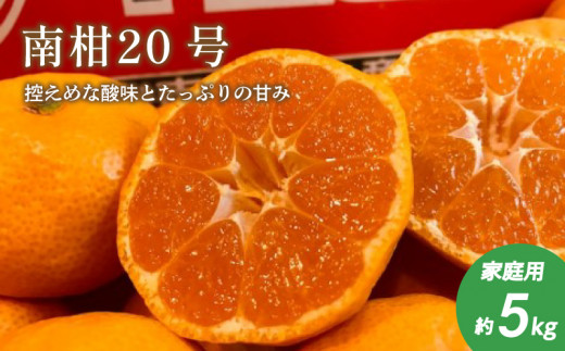 【12月中旬頃より発送】みかん ( 南柑20号 ) 約 5kg 柑橘 果物 フルーツ 松山市 愛媛県 1018841 - 愛媛県松山市