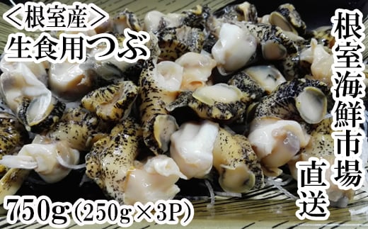 A-11120 【北海道根室産】生食用灯台つぶ250g×3P(計750g) 242762 - 北海道根室市