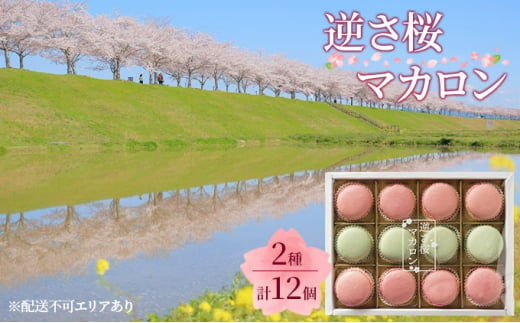 逆さ桜 マカロン 2種 食べ比べ 計12個[ スイーツ 洋菓子 焼菓子 ] 1006831 - 兵庫県小野市