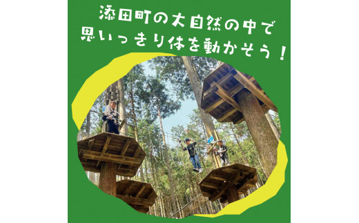 treetopさま専用②+mdscience.in