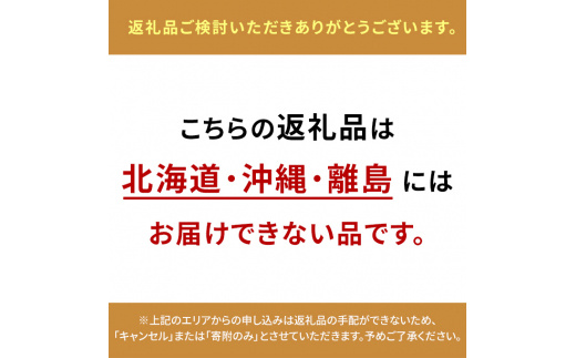 メメシルヴィの ミニ キッシュ 6個入り オーガニック 無添加 グルテン