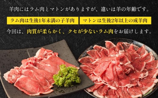 ラムしゃぶしゃぶ 1.5kg(500g×3p入り) 【道産子の伝統食材】 北海道