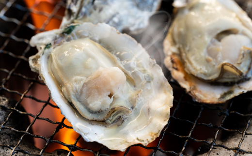 牡蠣 鏡オイスター 生食用 5kg（約70～75個）