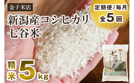 【令和6年産新米】【定期便5ヶ月毎月お届け】老舗米穀店が厳選 新潟産 従来品種コシヒカリ「七谷米」精米5kg 白米 窒素ガス充填パックで鮮度長持ち 金子米店 定期便 1006935 - 新潟県加茂市