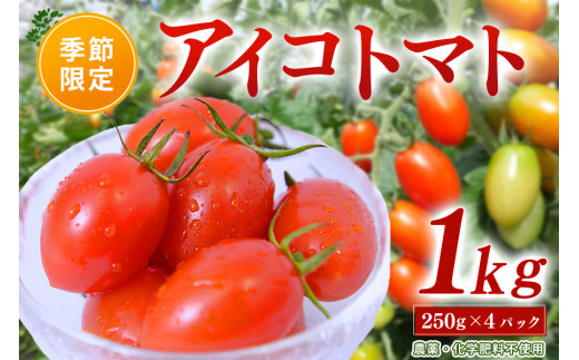 農薬・化学肥料不使用 河津さんの愛情たっぷり アイコトマト 1kg ミニトマト トマト とまと 野菜 無農薬 農薬不使用 化学肥料不使用 愛情たっぷり 新鮮 産地直送 熊本 阿蘇 南小国町 送料無料 425813 - 熊本県南小国町