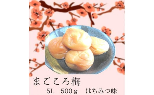 まこごろ梅 はちみつ味 5Lサイズ 500g 1006892 - 和歌山県白浜町