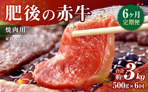 【6ヶ月定期便】肥後の赤牛 焼肉用 500g×6回 合計3kg あか牛 牛肉 肉 焼き肉 やきにく 冷凍 国産 995148 - 熊本県西原村