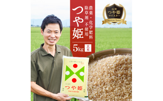SA1808　令和5年産【玄米】つや姫マイスターが作った　農薬・化学肥料・除草剤不使用『つや姫』5kg MA