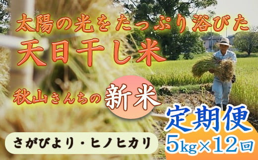 定期便[2024年度]秋山さんの新米 さがびより/ヒノヒカリ5kg x12回