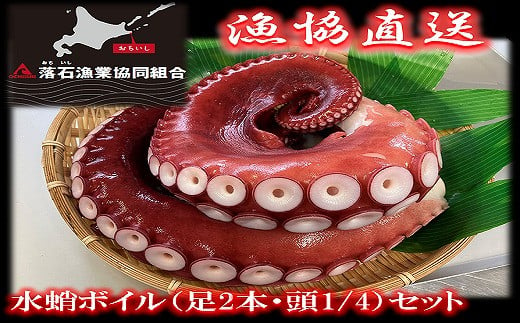 B-20002 【北海道根室産】水蛸ボイルセット(足、頭) 600643 - 北海道根室市