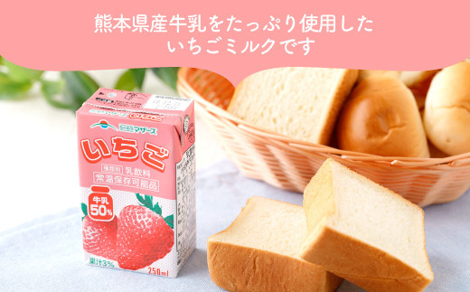 いちごミルク 24本 250ml×24本 1ケース