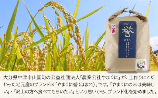 令和5年度 新米】大分県中津市産 やまくに誉 つや姫 5kg×2袋 お米 精米