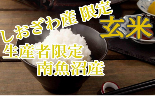 定期便10kg×6ヶ月】玄米 しおざわ産限定 生産者限定 南魚沼産