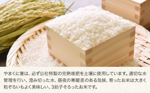 令和5年度 新米】大分県中津市産 やまくに誉 つや姫 5kg×2袋 お米 精米