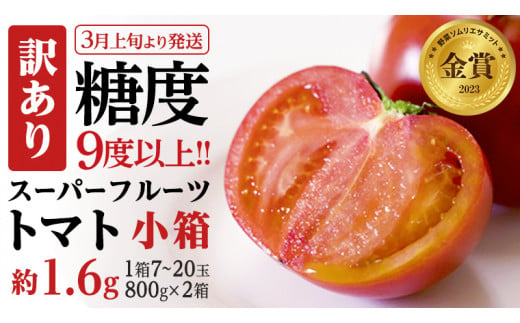【2024年3月上旬発送開始】《訳あり》 スーパーフルーツトマト 小箱 約800g（7～20玉）×2箱 糖度9度以上 トマト とまと 野菜 [BC043sa] 591972 - 茨城県桜川市