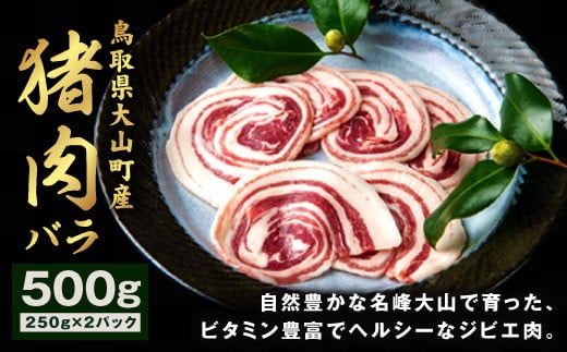 GB-05　猪肉　バラ　500g（250g×2パック） 866353 - 鳥取県大山町