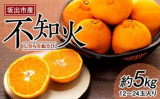 坂出市産 不知火（しらぬひ）約5kg（12～24玉入り） - 香川県坂出市