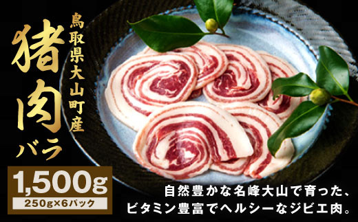 GB-07　猪肉　バラ　1.5kg（250g×6パック） 866635 - 鳥取県大山町