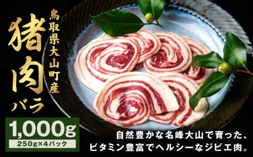 GB-06　猪肉　バラ　1kg（250g×4パック） 866354 - 鳥取県大山町