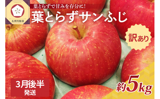 【2025年3月後半発送】【訳あり】青森県産葉とらずサンふじりんご約5kg 1064726 - 青森県五所川原市