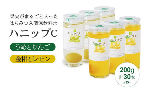 果実入り清涼飲料水 ハニップC2種類セット 481098 - 和歌山県九度山町