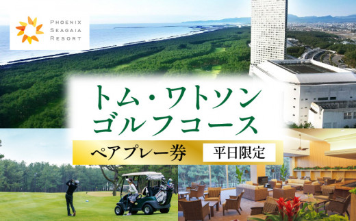 トムワトソン★昭和のゴルフクラブ5本セット