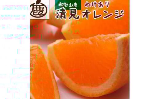 ＜2月より発送＞ 家庭用 清見オレンジ7kg+210g（傷み補償分）光センサー食頃出荷 訳あり わけあり ［IKE144］ 596409 - 和歌山県高野町