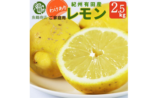 【ご家庭用訳あり】 紀州有田産レモン 2.5kg【2025年3月上旬以降発送】【先行予約】【UT46】 1007539 - 和歌山県和歌山市
